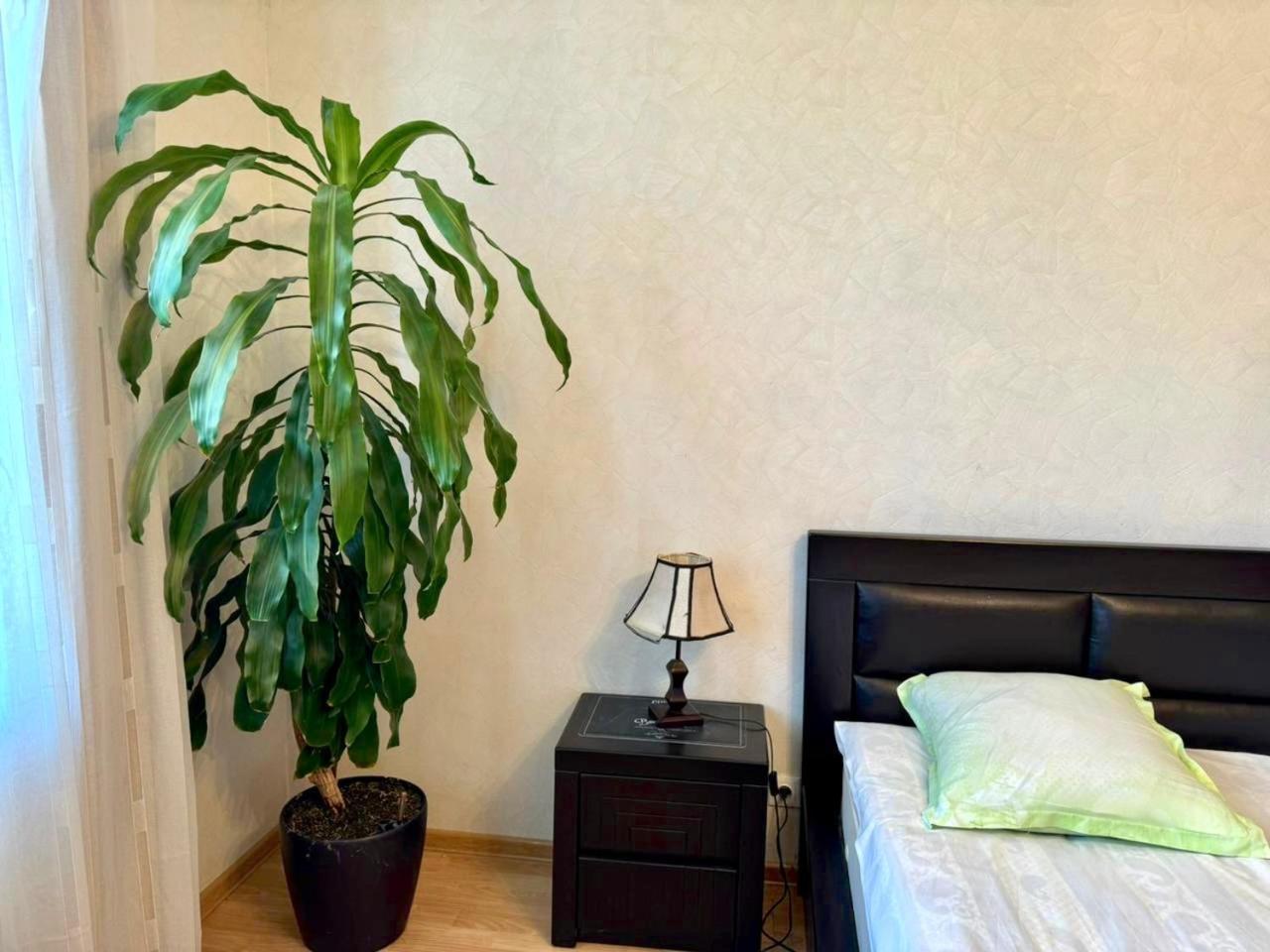 Home Inn-Guesthouse ラゴデヒ エクステリア 写真